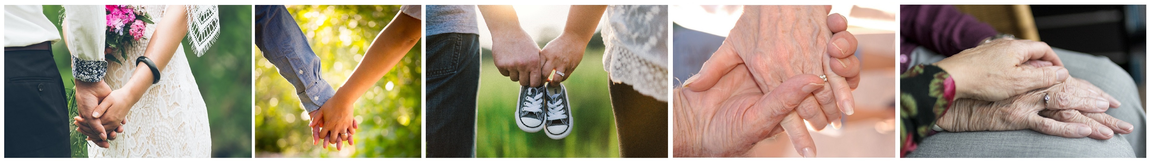 手つなぎ・ライフサイクル 手つなぎ・ライフサイクル